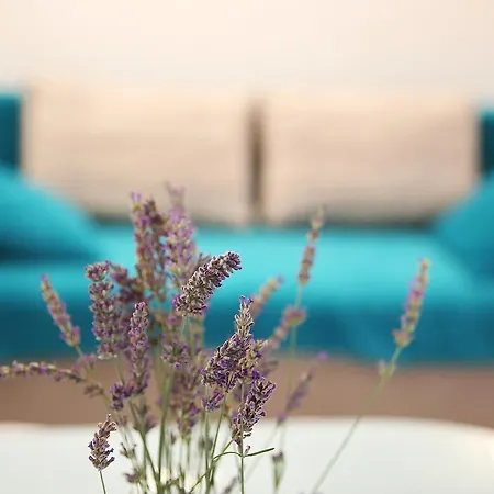 My Dream Apartament Zadar